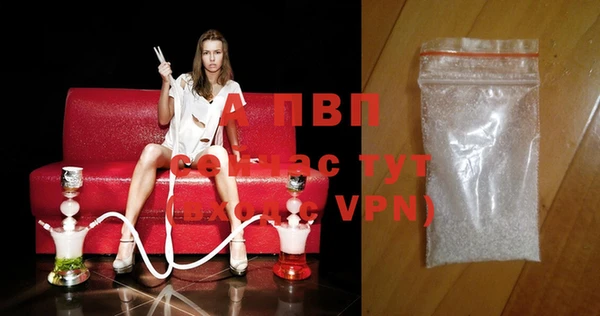 стафф Арсеньев