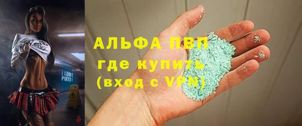 стафф Арсеньев