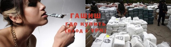 стафф Арсеньев