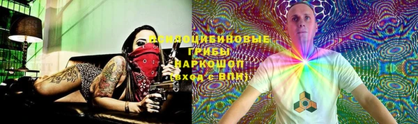 Альфа ПВП Аркадак