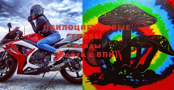 Альфа ПВП Аркадак