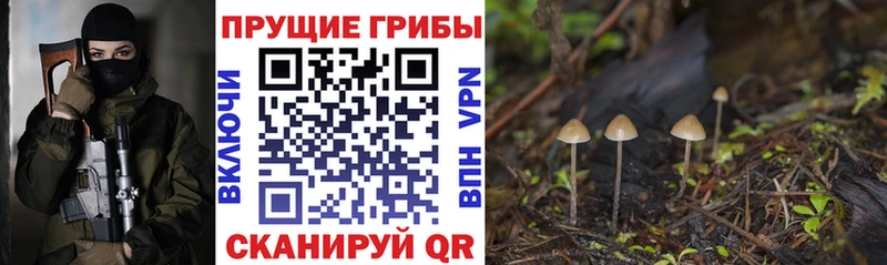 Псилоцибиновые грибы GOLDEN TEACHER  закладка  Семёнов 
