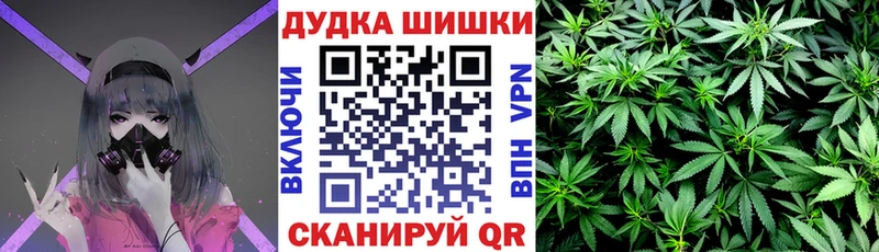 Каннабис OG Kush  Семёнов 